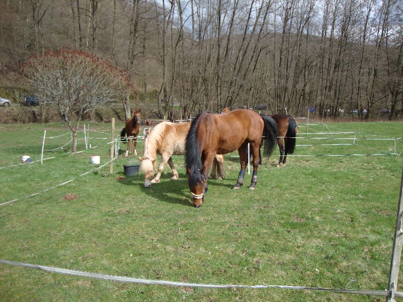 DSC00831
