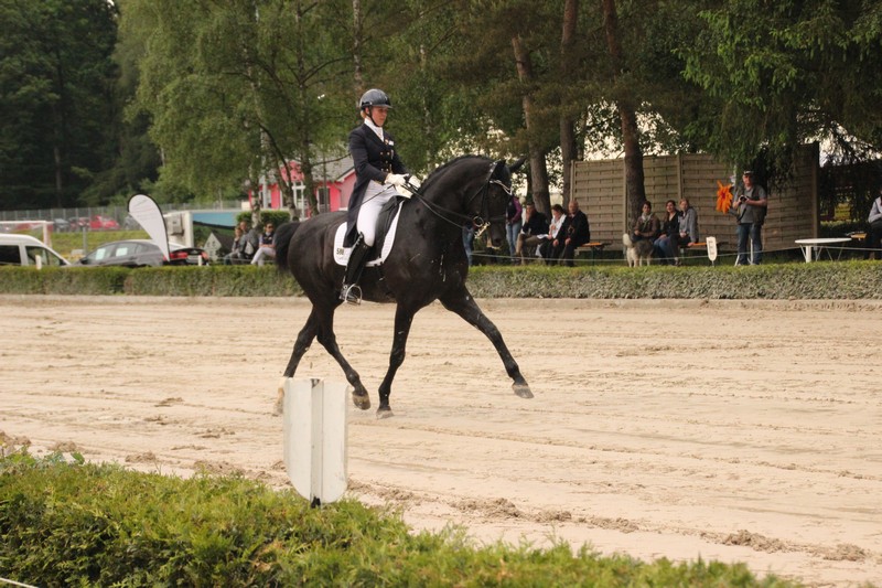 IMG_9601_klein