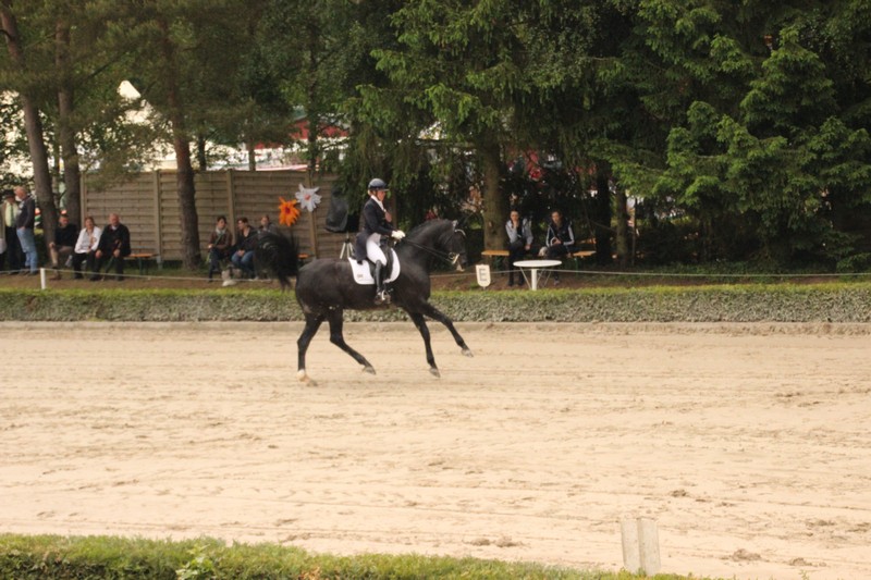 IMG_9611_klein