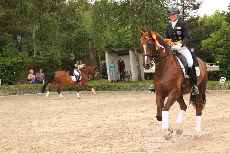 IMG_9746_klein