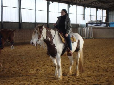 normal_Allgemein_179