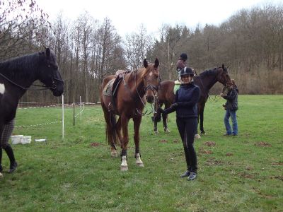 normal_DSC00796
