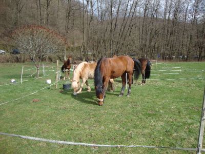 normal_DSC00831