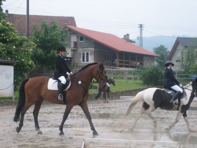 normal_IMG_0373