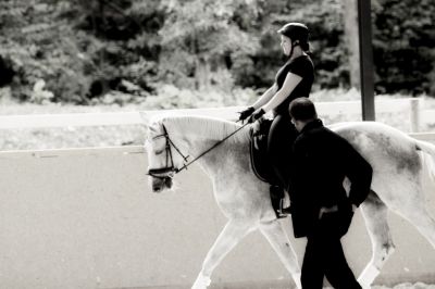 normal_IMG_3623_kleiner
