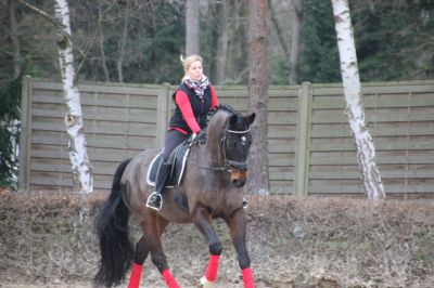 normal_IMG_4263RSG_Weihnacht_2015