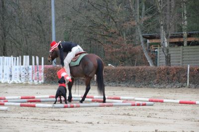 normal_IMG_4293RSG_Weihnacht_2015