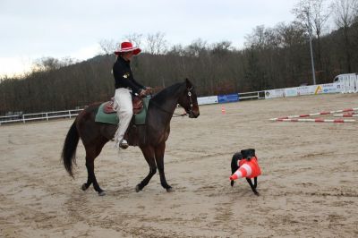 normal_IMG_4310RSG_Weihnacht_2015