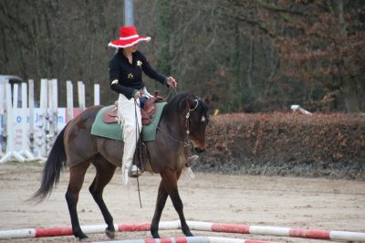 normal_IMG_4320RSG_Weihnacht_2015