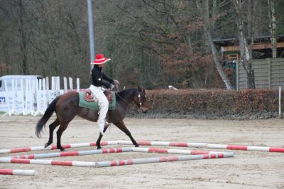 normal_IMG_4325RSG_Weihnacht_2015