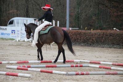 normal_IMG_4344RSG_Weihnacht_2015