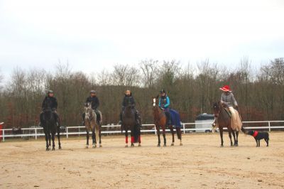 normal_IMG_4380RSG_Weihnacht_2015