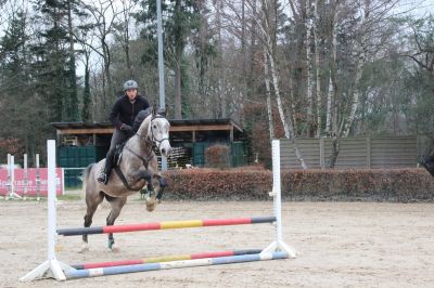 normal_IMG_4419RSG_Weihnacht_2015