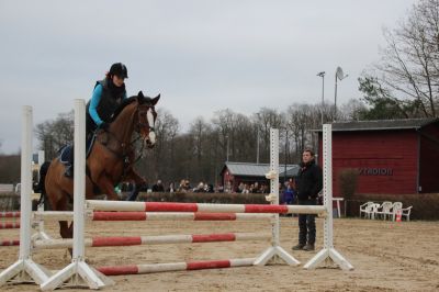 normal_IMG_4425RSG_Weihnacht_2015