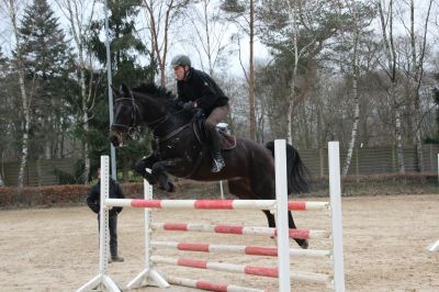 normal_IMG_4443RSG_Weihnacht_2015
