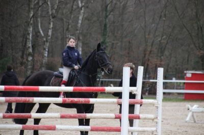 normal_IMG_4462RSG_Weihnacht_2015
