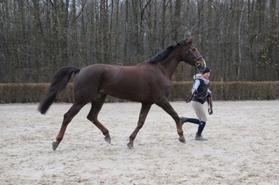 normal_IMG_4601Fotokurs_RSG