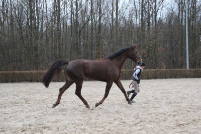 normal_IMG_4604Fotokurs_RSG