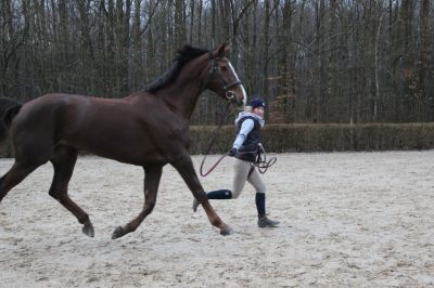 normal_IMG_4607Fotokurs_RSG