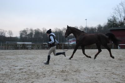 normal_IMG_4615Fotokurs_RSG