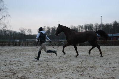normal_IMG_4616Fotokurs_RSG