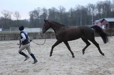 normal_IMG_4623Fotokurs_RSG