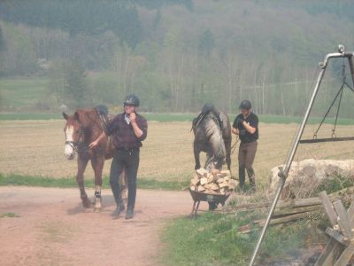 normal_SPA56348