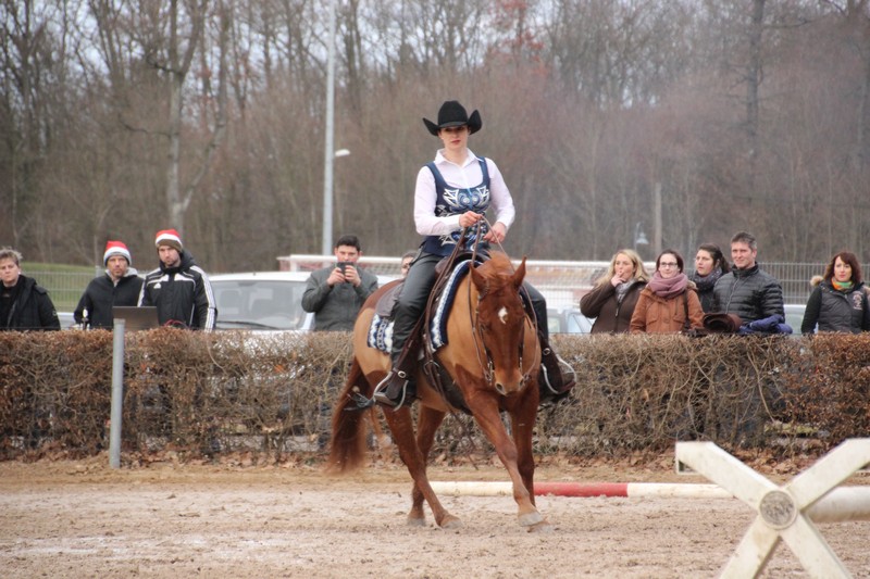 IMG_0081_klein
