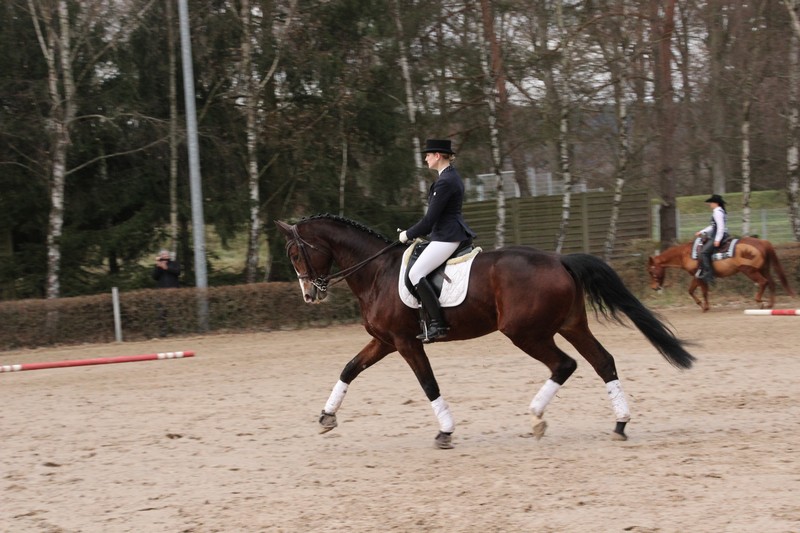 IMG_0160_klein
