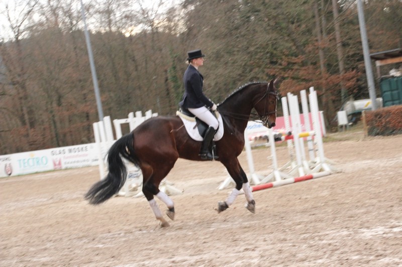 IMG_0198_klein