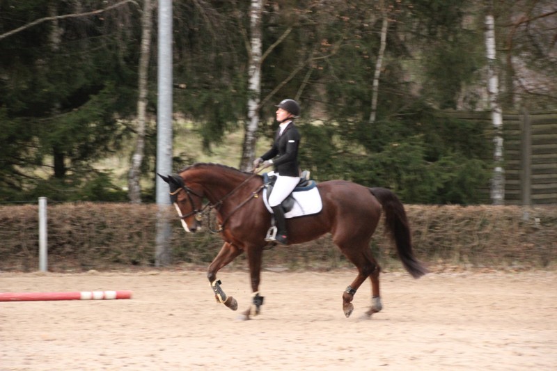 IMG_0375_klein