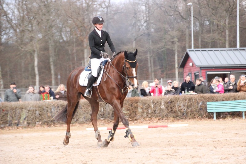 IMG_0428_klein
