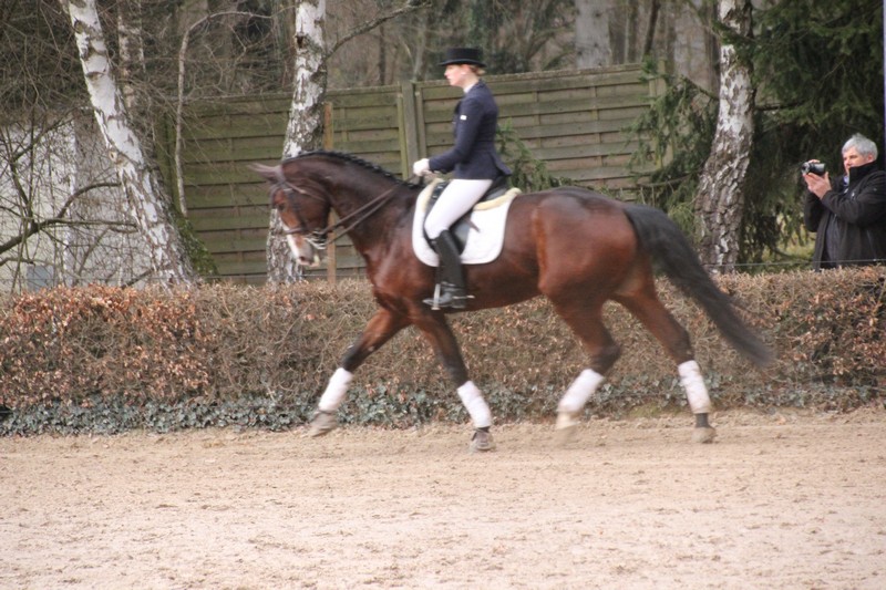 IMG_0460_klein