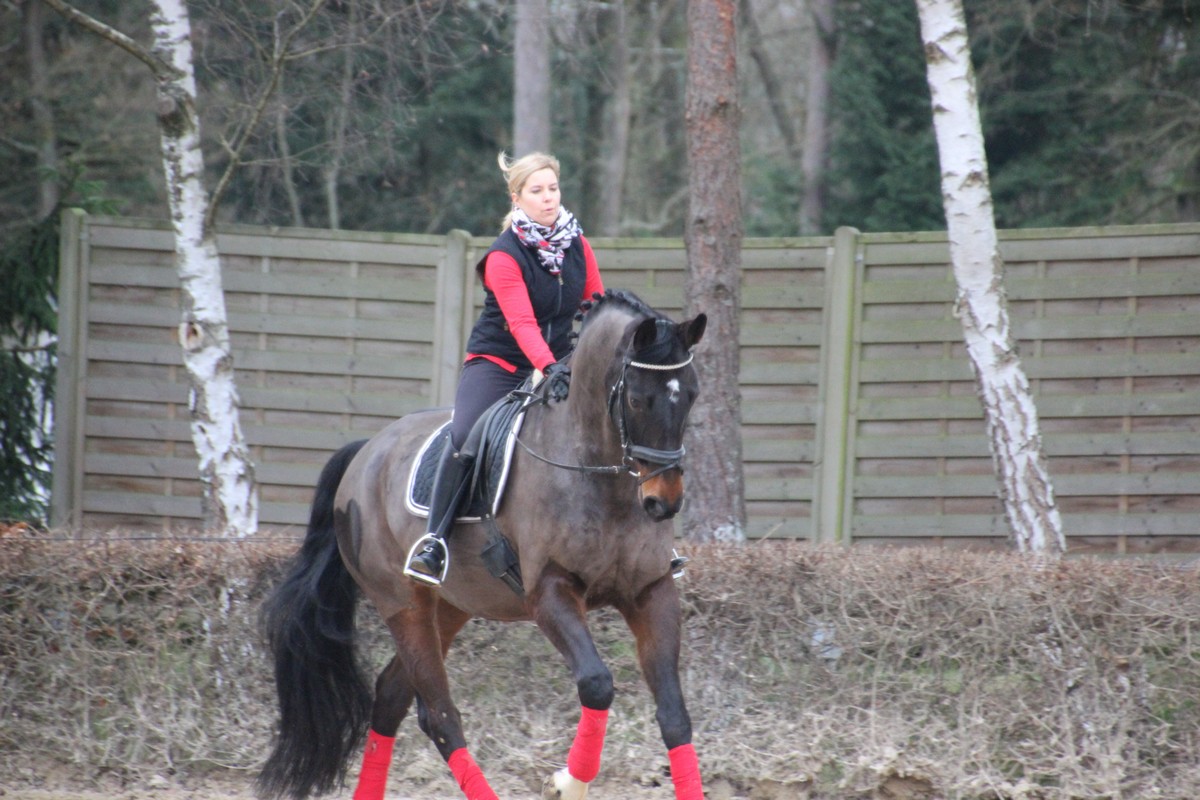 IMG_4263RSG_Weihnacht_2015