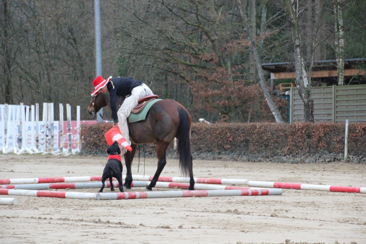 IMG_4293RSG_Weihnacht_2015