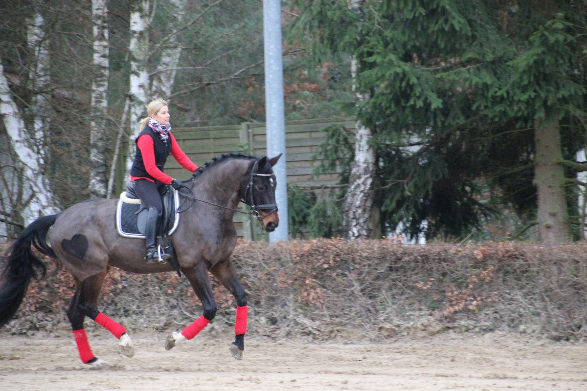 IMG_4328RSG_Weihnacht_2015