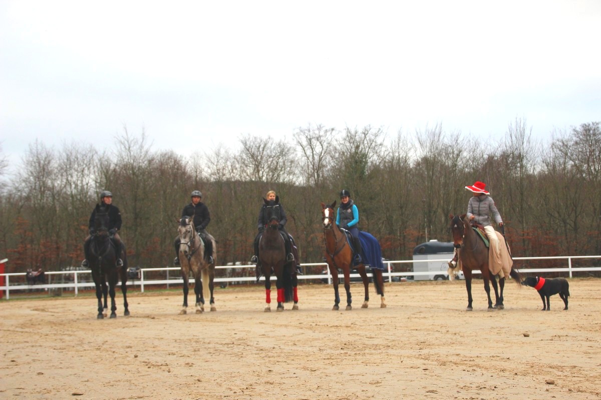 IMG_4380RSG_Weihnacht_2015