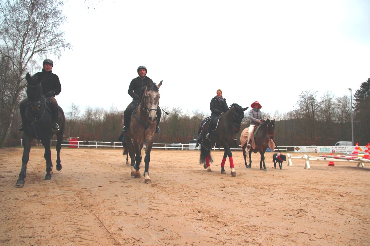 IMG_4390RSG_Weihnacht_2015