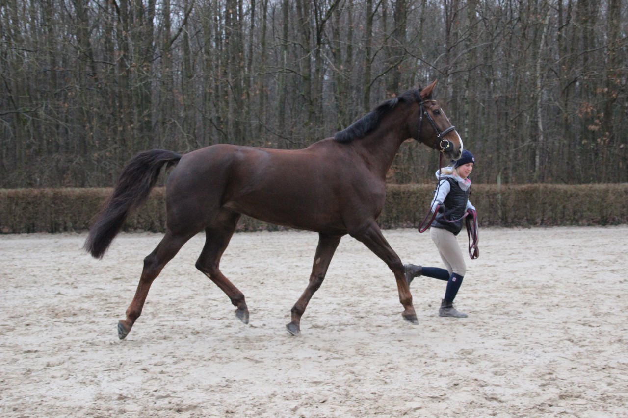 IMG_4601Fotokurs_RSG