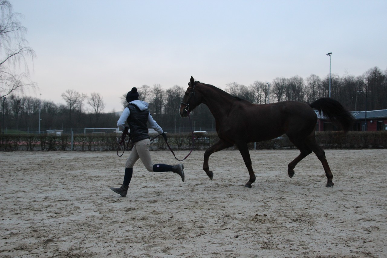 IMG_4616Fotokurs_RSG