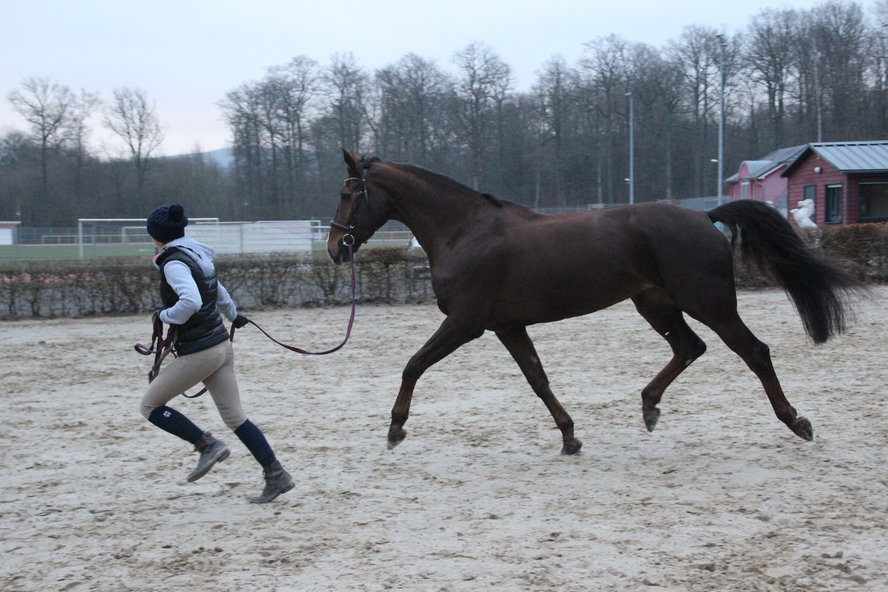IMG_4623Fotokurs_RSG