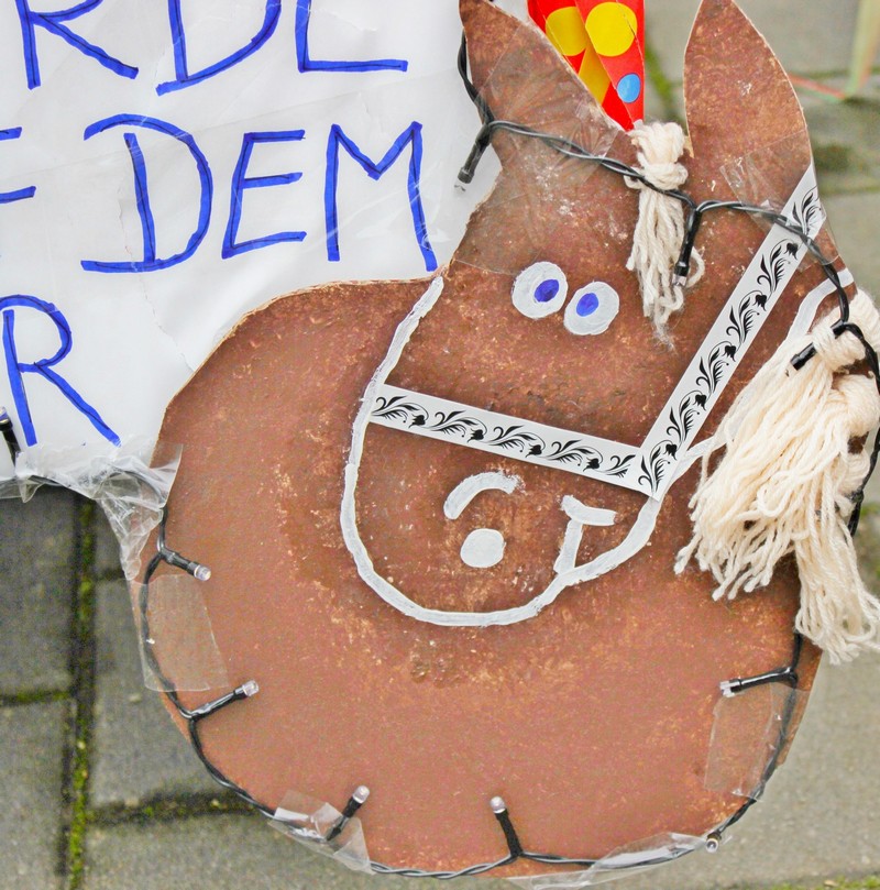 IMG_5225_klein_klein