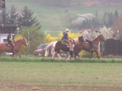 normal_SPA56430