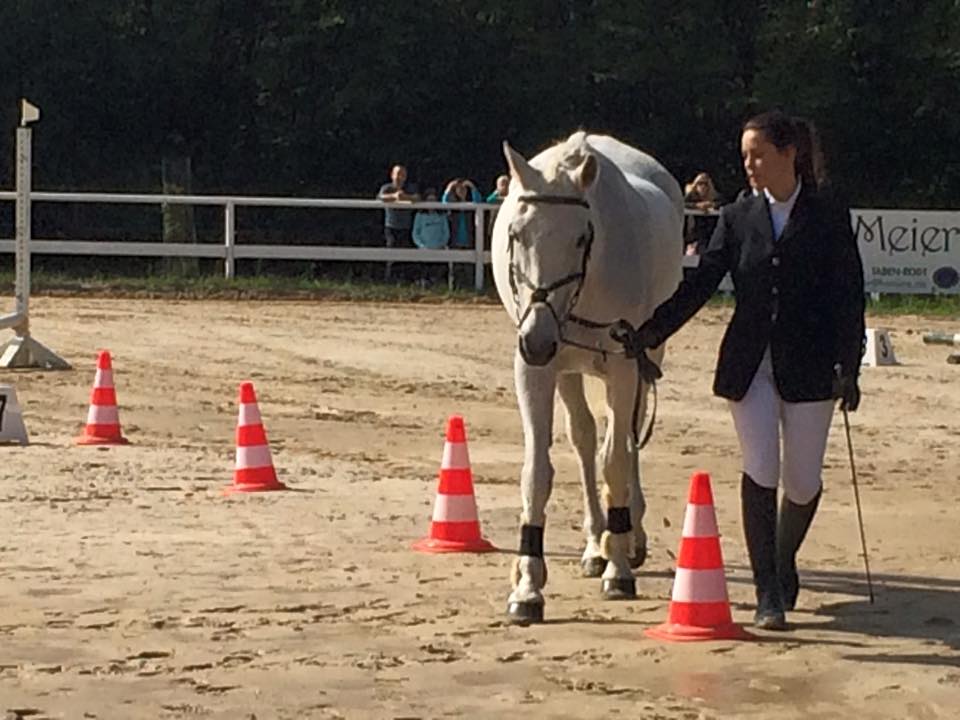 12049329_1046272758738625_3985329426863178817_n