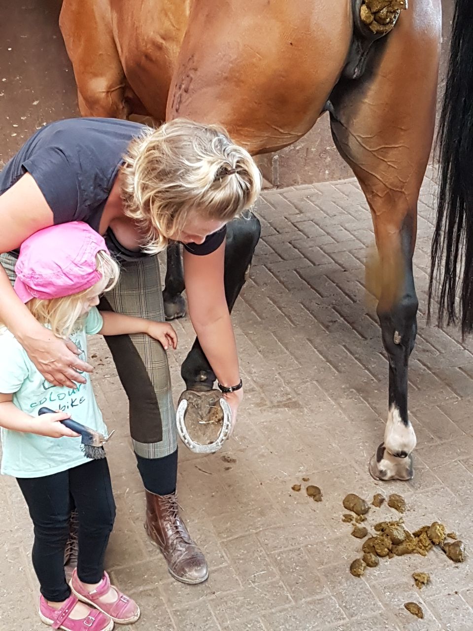 PHOTO-2017-10-16-09-24-04