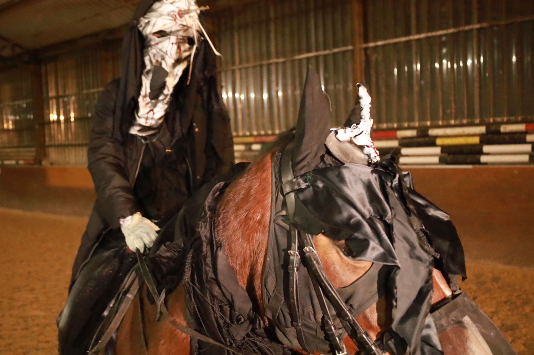 PHOTO-2022-10-31-19-40-42