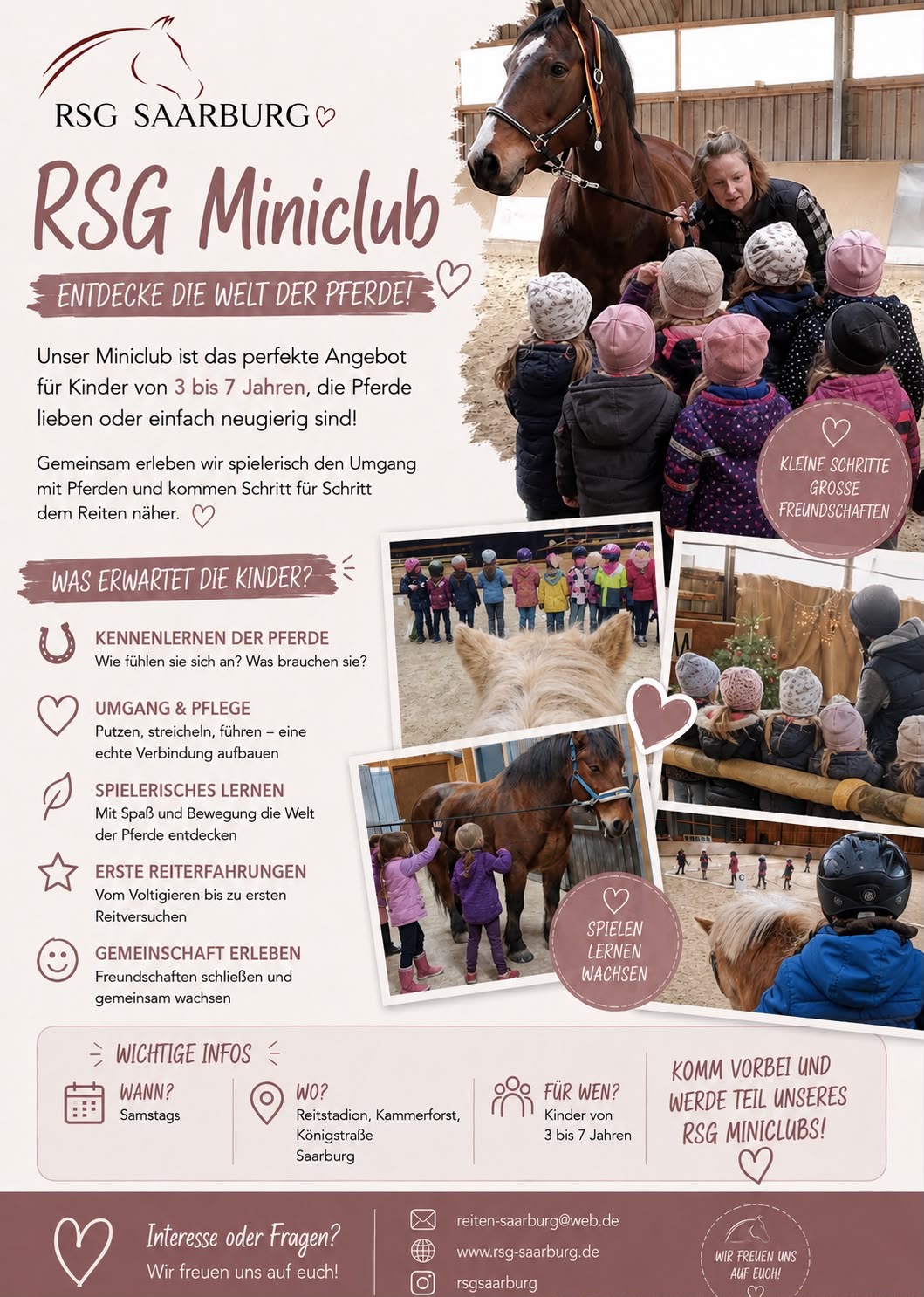 Renew MiniClub